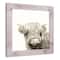 Shaggy Bangs Highland Cow Framed Print Wall Hanging